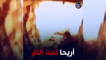 شاهد || أريحا تحت النار.